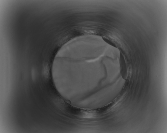 X0000088480359200706191411