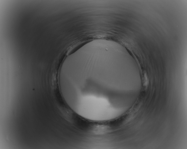 X0000088480360200706191411