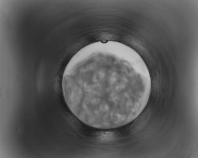 X0000088480361200706191411