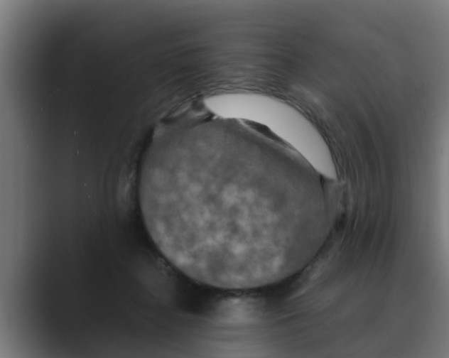 X0000088480364200706191411