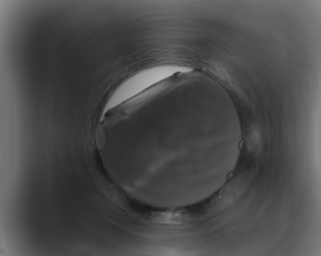 X0000088480366200706191411