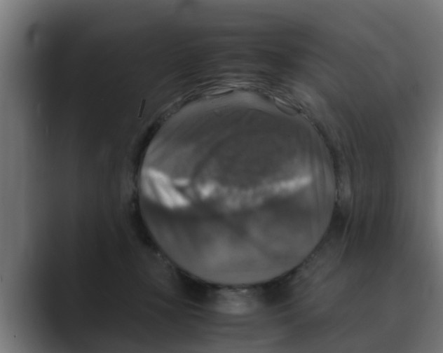 X0000088480367200706191411