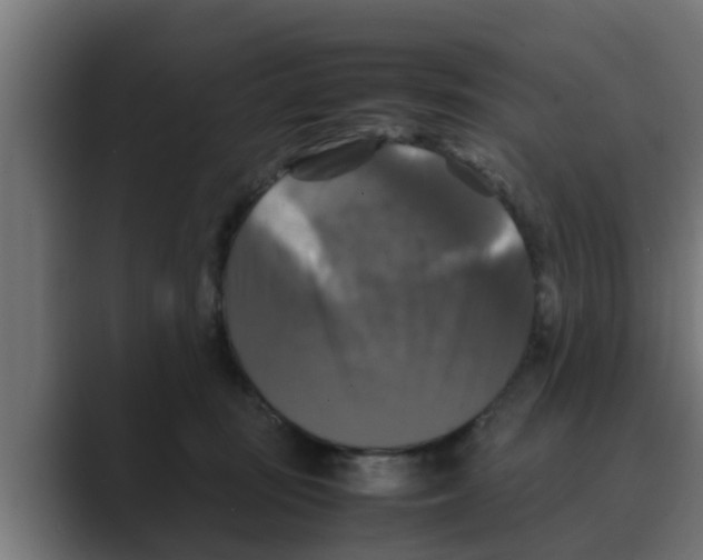 X0000088480371200706191411