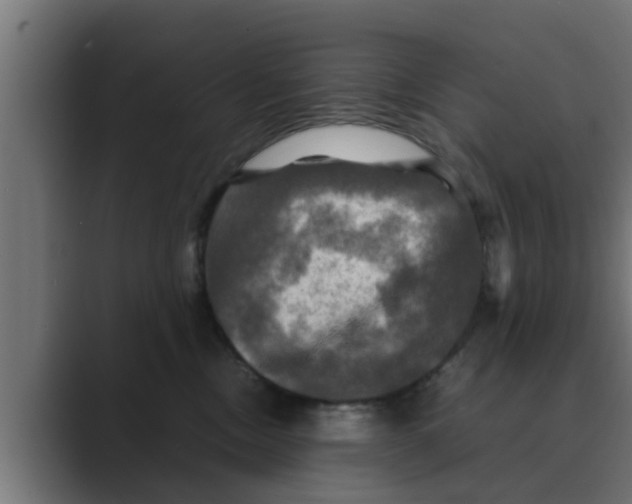 X0000088480378200706191411