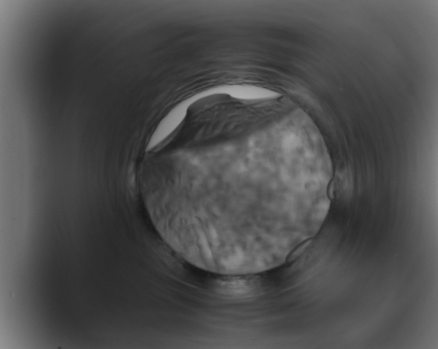 X0000088480381200706191411