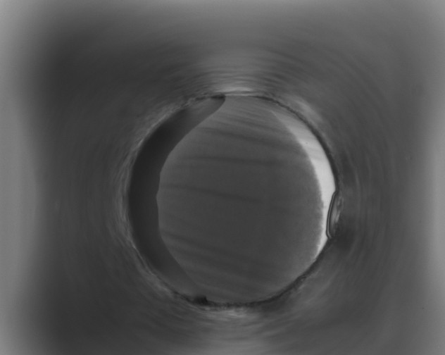 X0000088480385200706191410