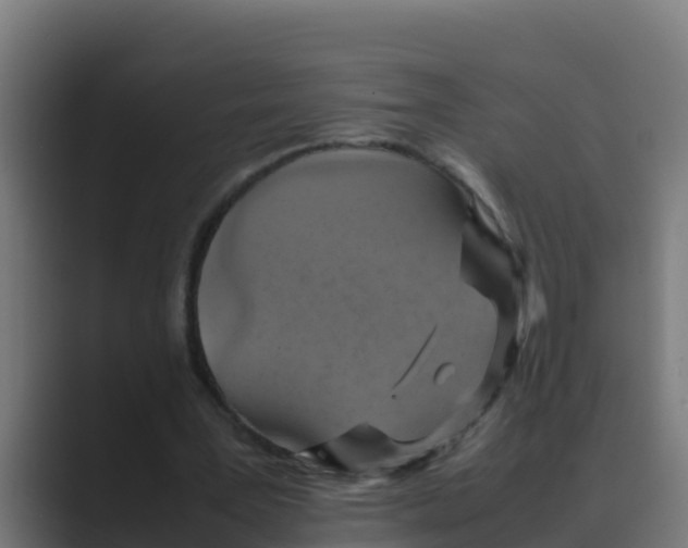 X0000088480387200706191410