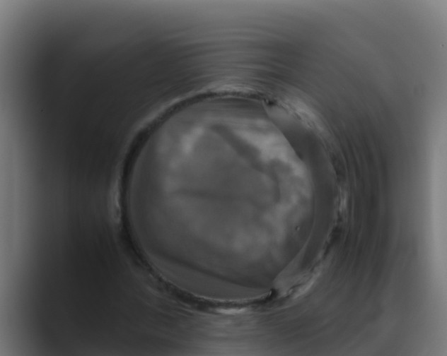 X0000088480388200706191410