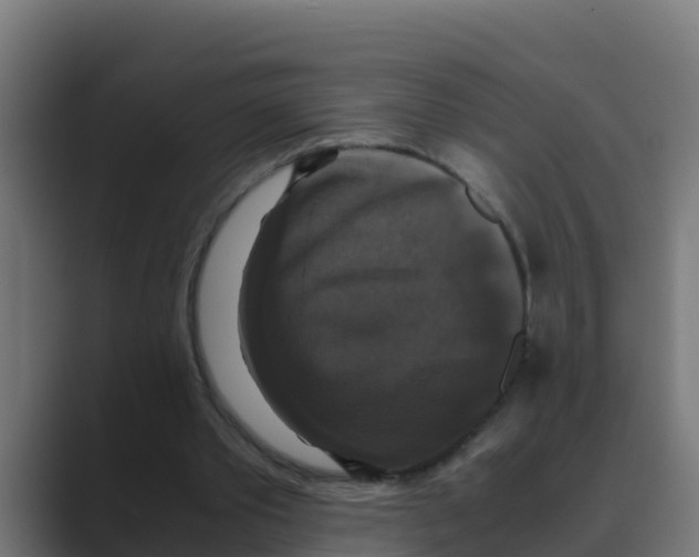 X0000088480389200706191410