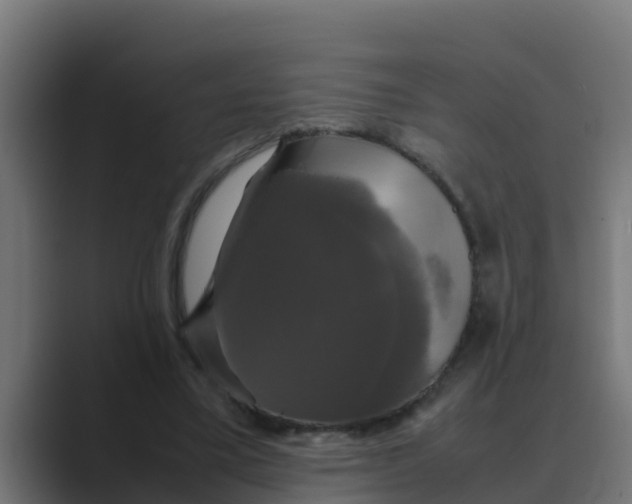 X0000088480395200706191410