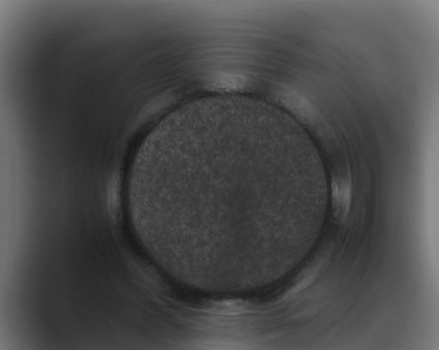 X0000088480396200706191410