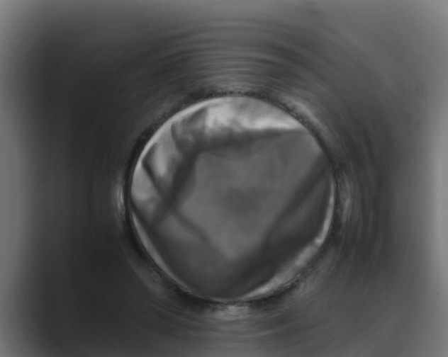 X0000088480398200706191410