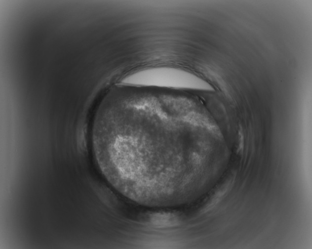 X0000088480400200706191410