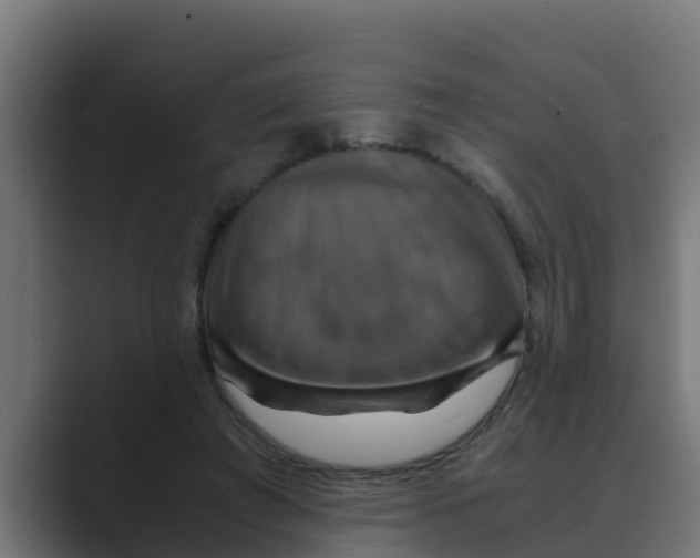 X0000088480401200706191410