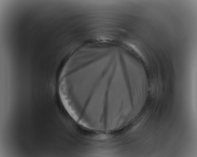 X0000088480402200706191410