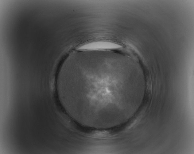 X0000088480403200706191410