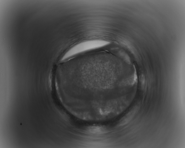 X0000088480404200706191410