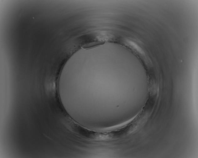 X0000088480405200706191410