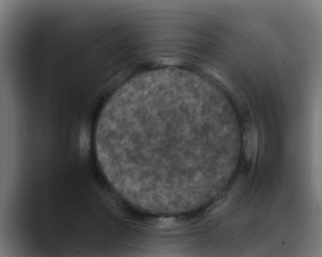 X0000088480406200706191410