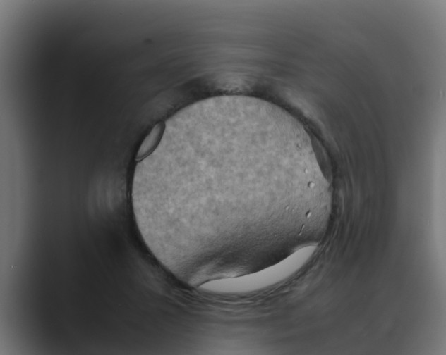 X0000088480407200706191410