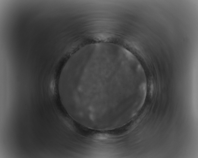 X0000088480408200706191410