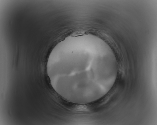 X0000088480409200706191410