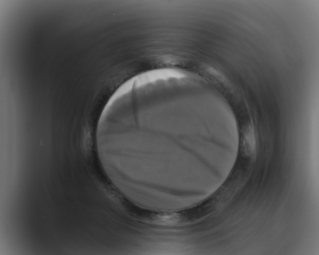 X0000088480410200706191410