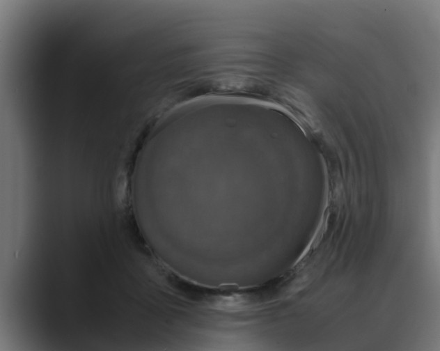 X0000088480411200706191410