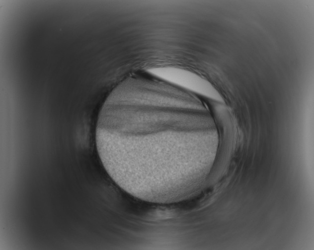 X0000088480416200706191410