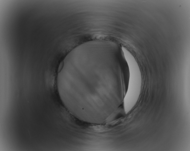 X0000088480417200706191410