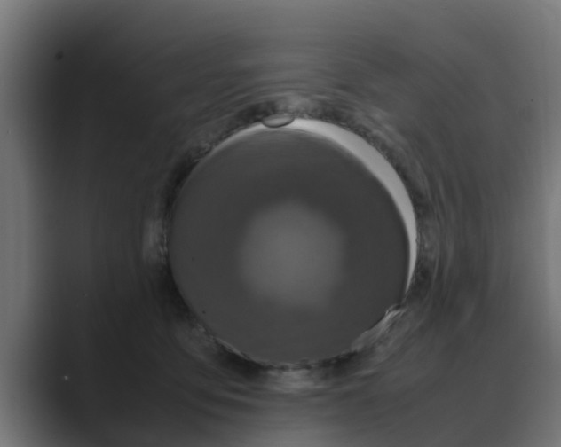 X0000088480419200706191410