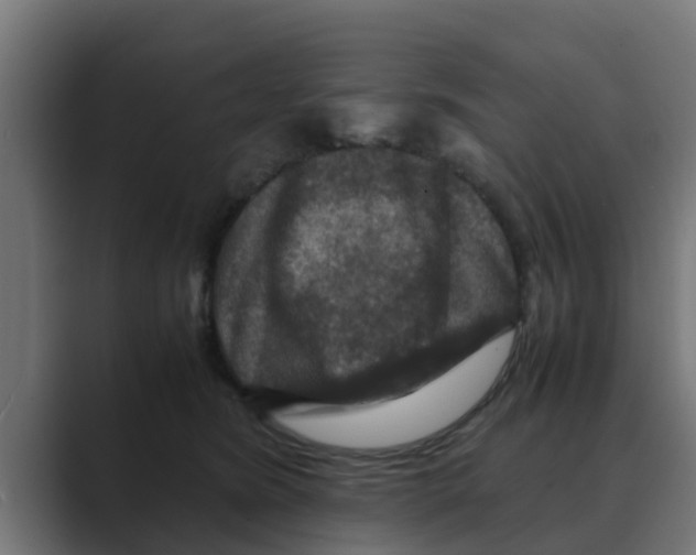 X0000088480420200706191410