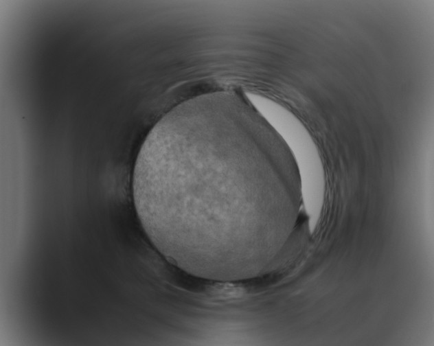 X0000088480421200706191410