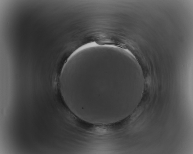 X0000088480423200706191410