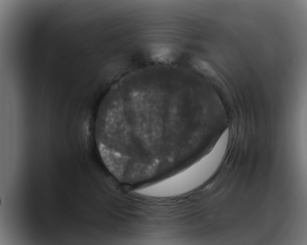 X0000088480424200706191410