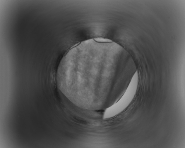 X0000088480425200706191410