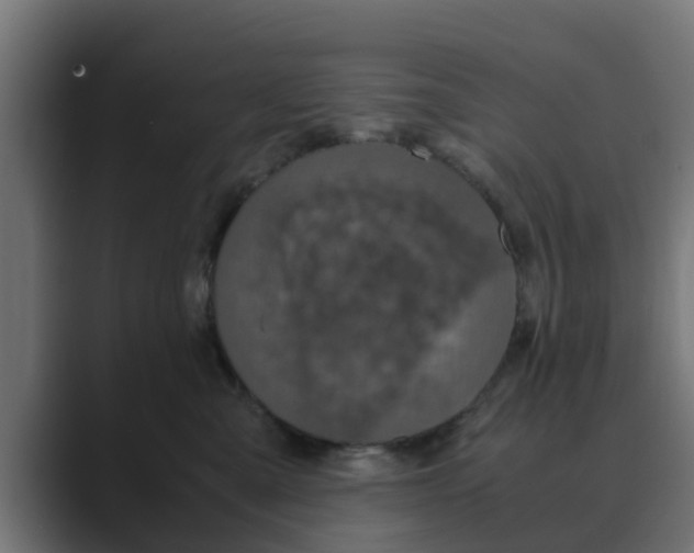 X0000088480427200706191410