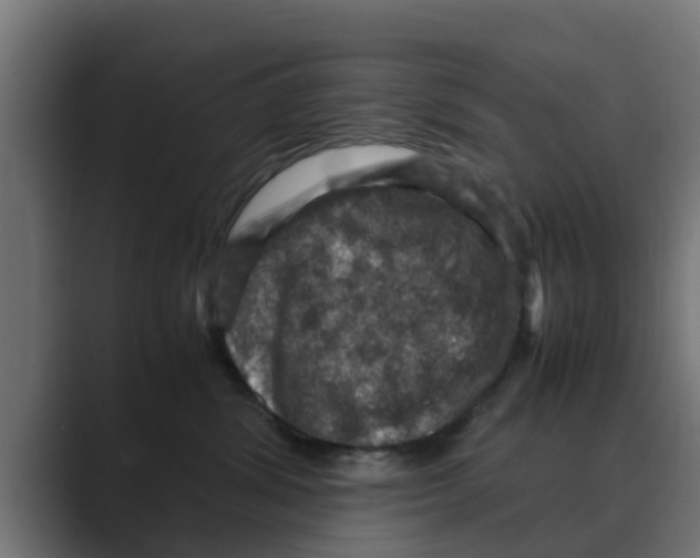 X0000088480428200706191410