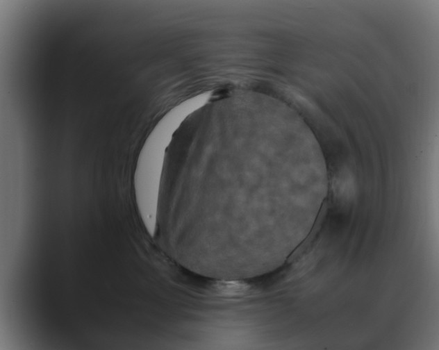 X0000088480429200706191410