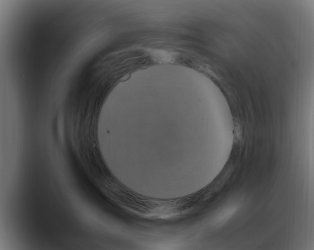 X0000088480431200706191410