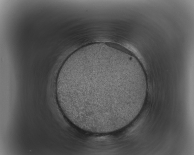 X0000088480433200706191409