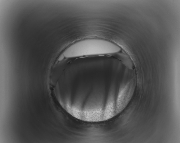 X0000088480434200706191409