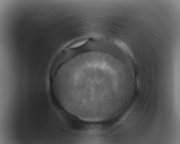 X0000088480436200706191409