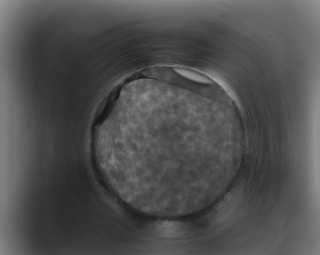 X0000088480437200706191409