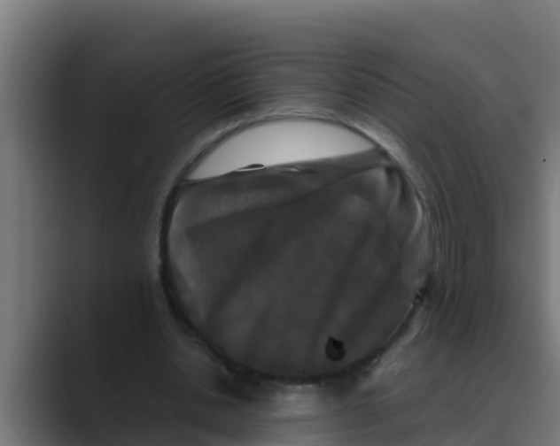 X0000088480438200706191409