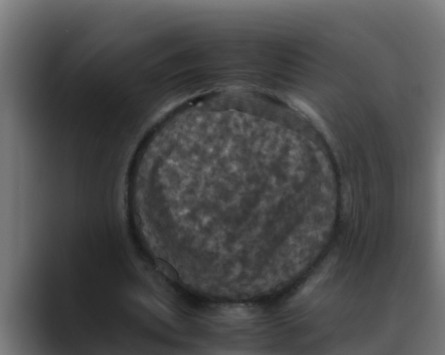 X0000088480439200706191409