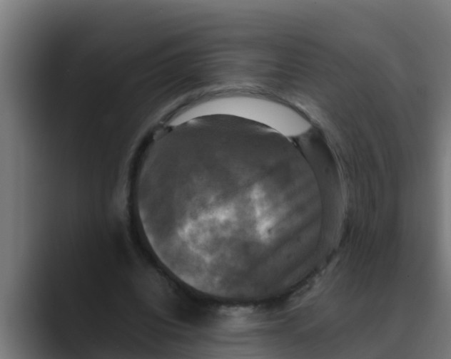 X0000088480440200706191409