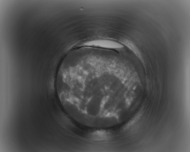 X0000088480441200706191409