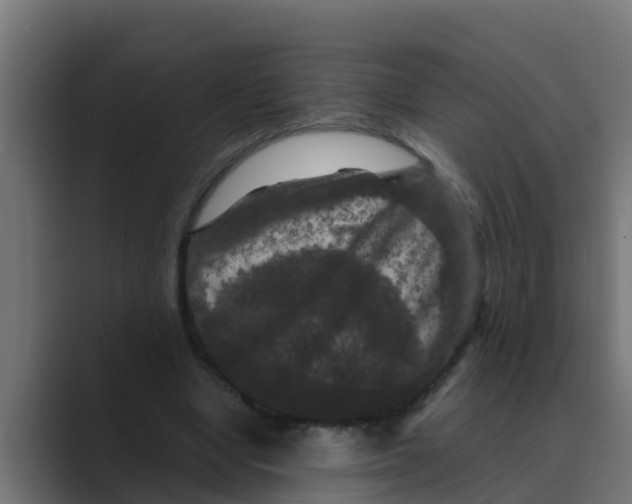 X0000088480442200706191409