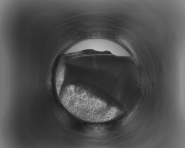 X0000088480443200706191409